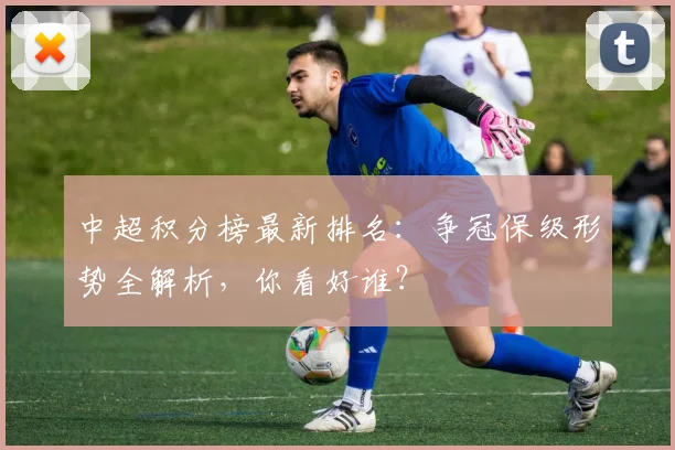 中超积分榜最新排名:争冠保级形势全解析,你看好谁?