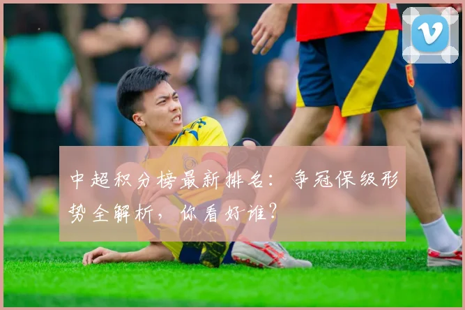中超积分榜最新排名：争冠保级形势全解析，你看好谁？